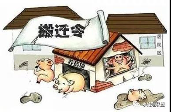 養殖場(chǎng)收到環(huán)保整改通知書(shū)該怎么辦？關(guān)于畜牧養殖的環(huán)保法律